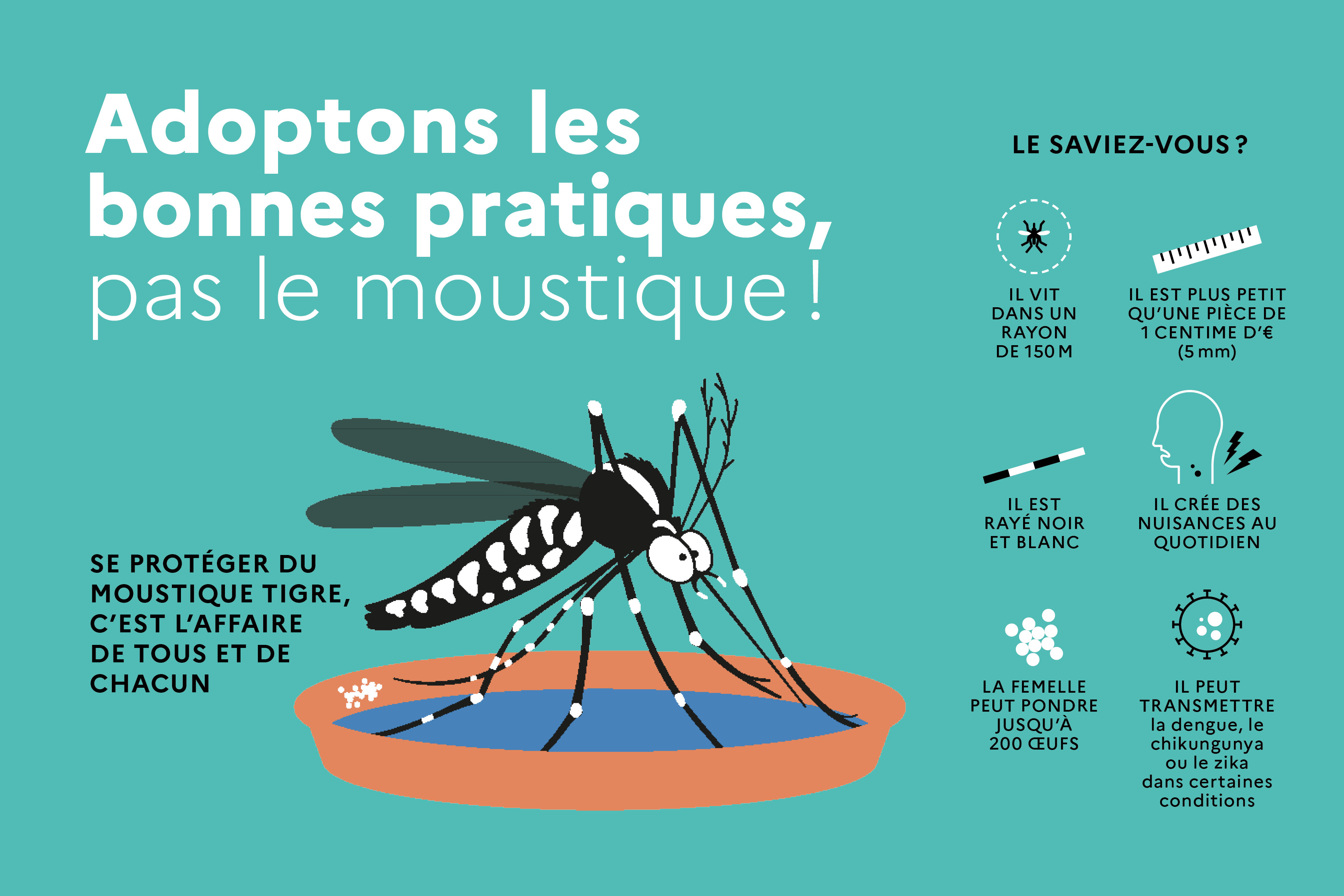 Moustique tigre ressources pour les collectivités territoriales Agence régionale de santé Moustique tigre ressources pour les collectivités territoriales Agence régionale de santé